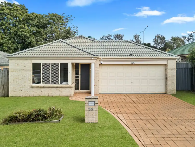 56 Solandra Crescent, Calamvale QLD 4116