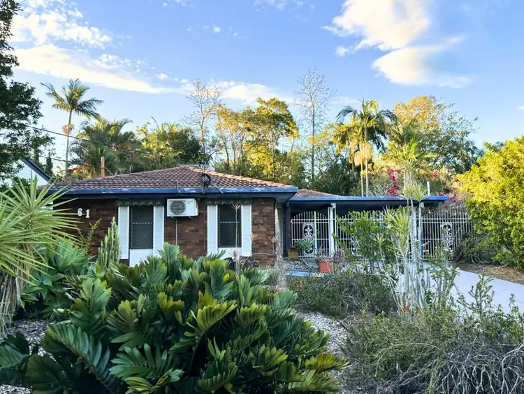 61 Dobell Street, Indooroopilly QLD 4068