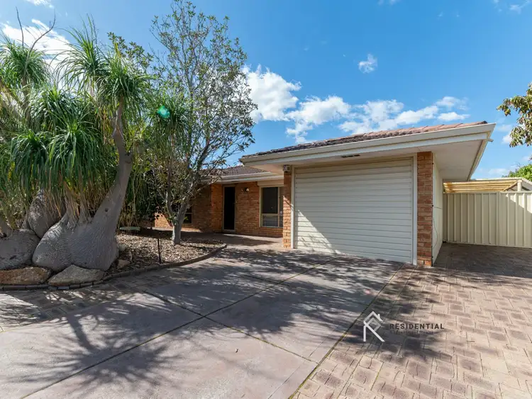 41 Threadleaf Way, Mirrabooka WA 6061