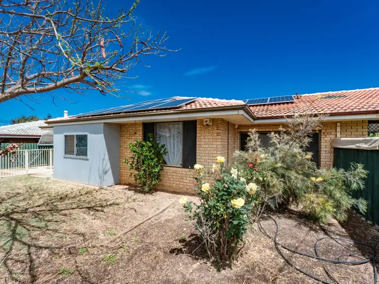 Second view of Homely house listing, 181A Anderson Street, Spalding WA 6530