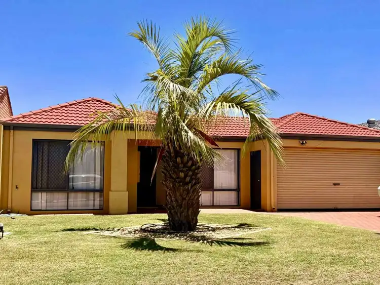 7 Portacello Circle, Wandina WA 6530