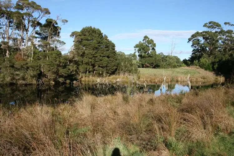 Second view of Homely land listing, LOT Lot 1 & 2, 33 Mauds Road, Scotchtown TAS 7330