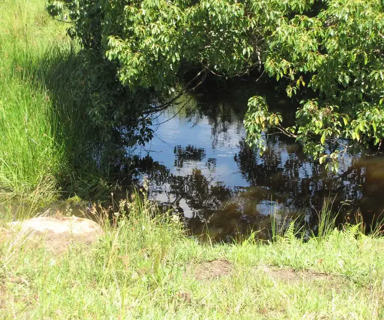 Second view of Homely rural property listing, 975 Dyraaba Rd, Dyraaba NSW 2470