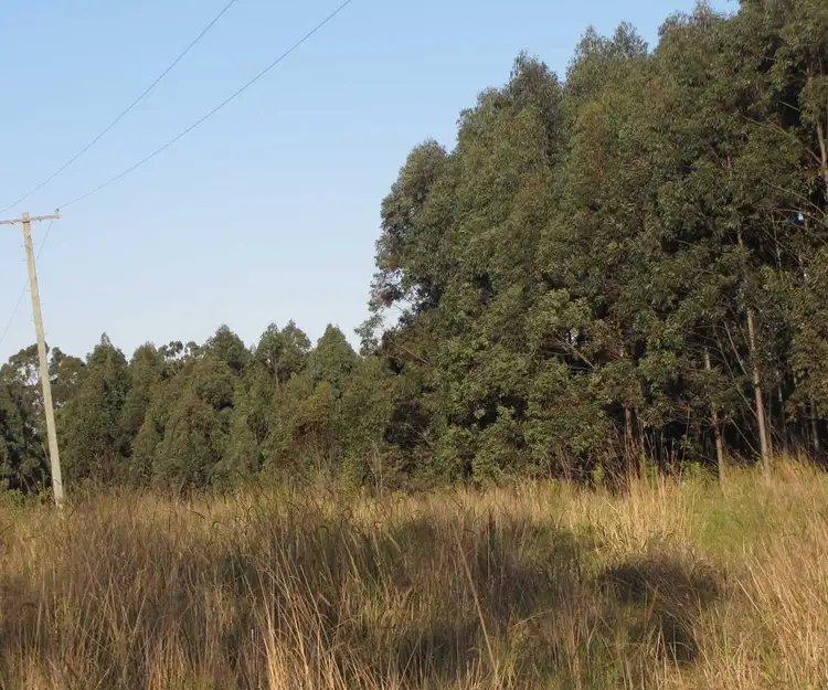 Fourth view of Homely rural property listing, - Harlow, Hogarth Range NSW 2469