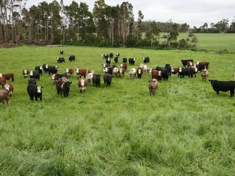 Main view of Homely rural property listing, . Goldings Road, Scotchtown TAS 7330