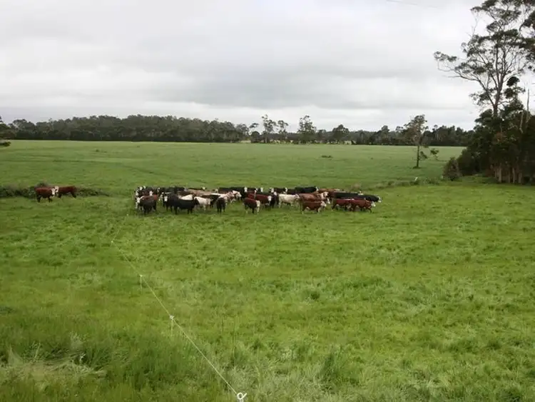 Fifth view of Homely rural property listing, . Goldings Road, Scotchtown TAS 7330