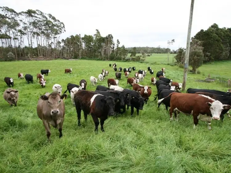 Sixth view of Homely rural property listing, . Goldings Road, Scotchtown TAS 7330