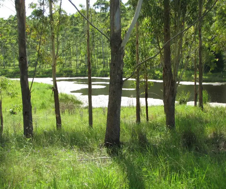 Main view of Homely rural property listing, - Ryans 71 Eggins Road, Doubtful Creek NSW 2470