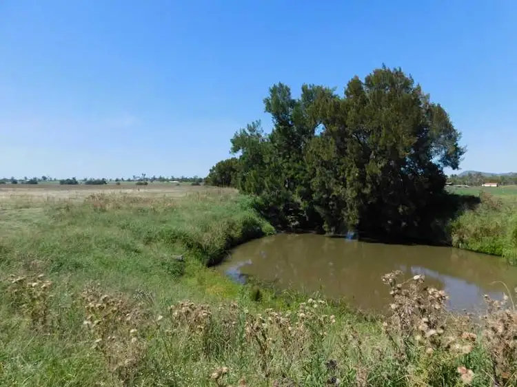 Fourth view of Homely rural property listing, 74 Craikes Road, Murrays Bridge QLD 4370
