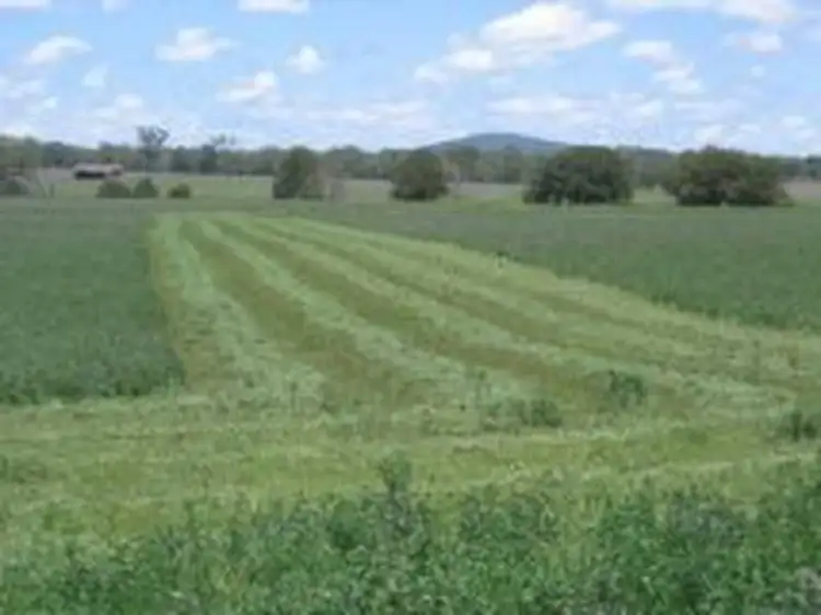 Fifth view of Homely rural property listing, 74 Craikes Road, Murrays Bridge QLD 4370