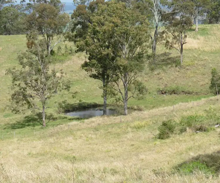 Third view of Homely rural property listing, 41 Battistuzzi Road, Spring Grove NSW 2470