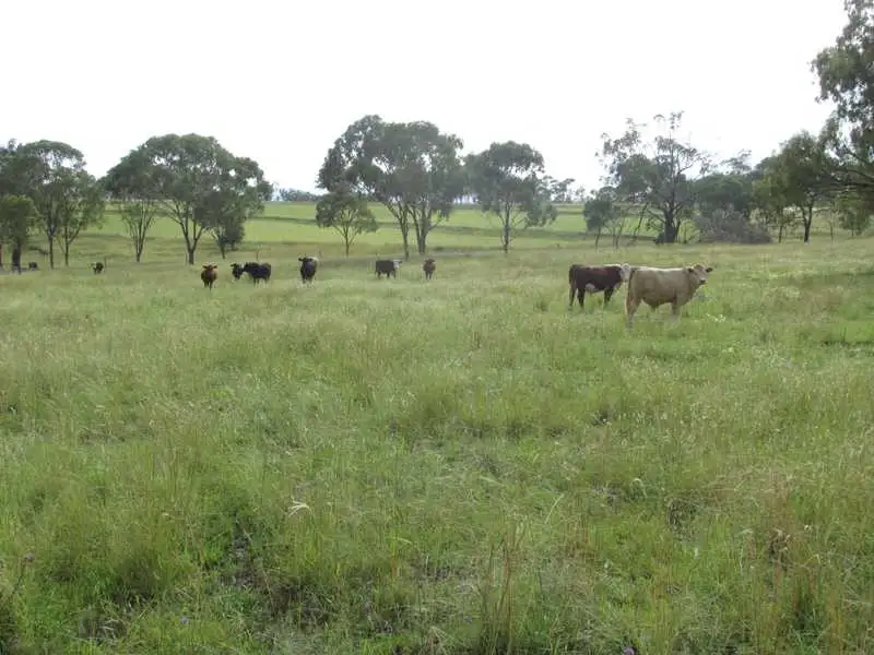 Main view of Homely rural property listing, Lt 3 Womina-Willowvale Raod, Warwick QLD 4370