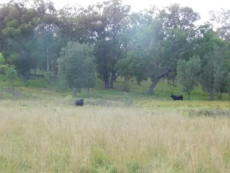 Seventh view of Homely land listing, Mt Lindesay Road, Wylie Creek NSW 2372