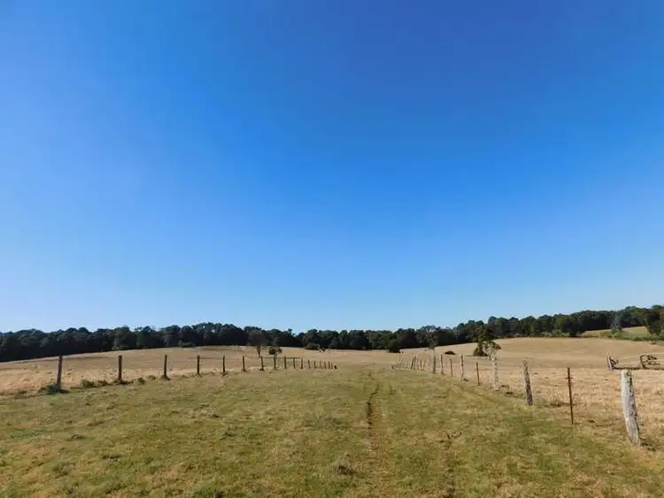 Seventh view of Homely rural property listing, 129 Bowleys Road, Killarney QLD 4373
