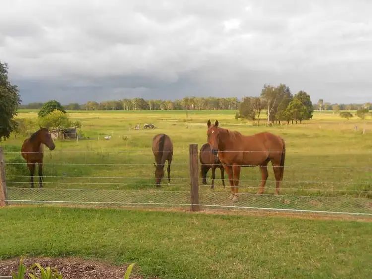Third view of Homely rural property listing, 325 Fogwells Rd YORKLEA via, Casino NSW 2470