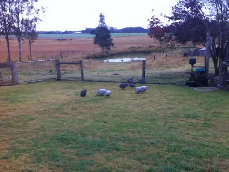 Seventh view of Homely rural property listing, 325 Fogwells Rd YORKLEA via, Casino NSW 2470
