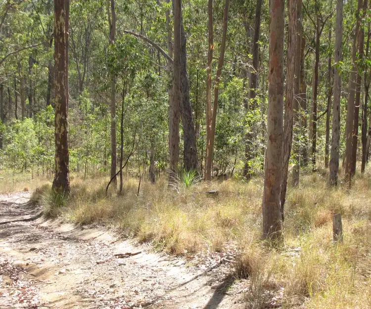 Third view of Homely land listing, Lot 12 Paddy's Flat Road, Tabulam NSW 2469