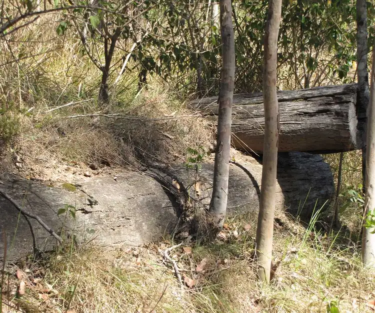 Fifth view of Homely land listing, Lot 12 Paddy's Flat Road, Tabulam NSW 2469