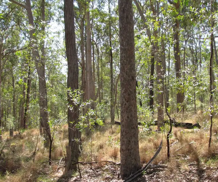 Seventh view of Homely land listing, Lot 12 Paddy's Flat Road, Tabulam NSW 2469