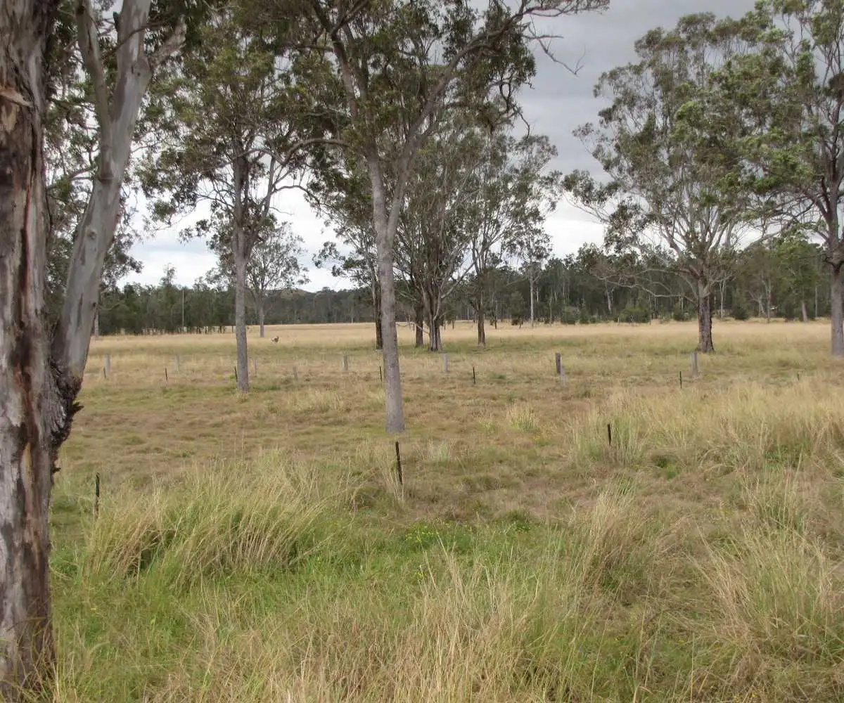 Main view of Homely rural property listing, 9155 Summerland Way, Leeville NSW 2470