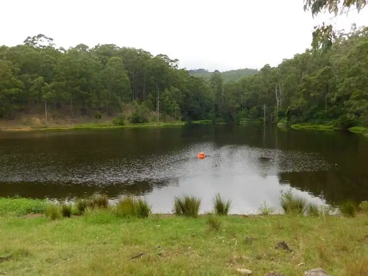Fourth view of Homely rural property listing, Lot 100 10570 Mt Lindesay Road, Killarney QLD 4373