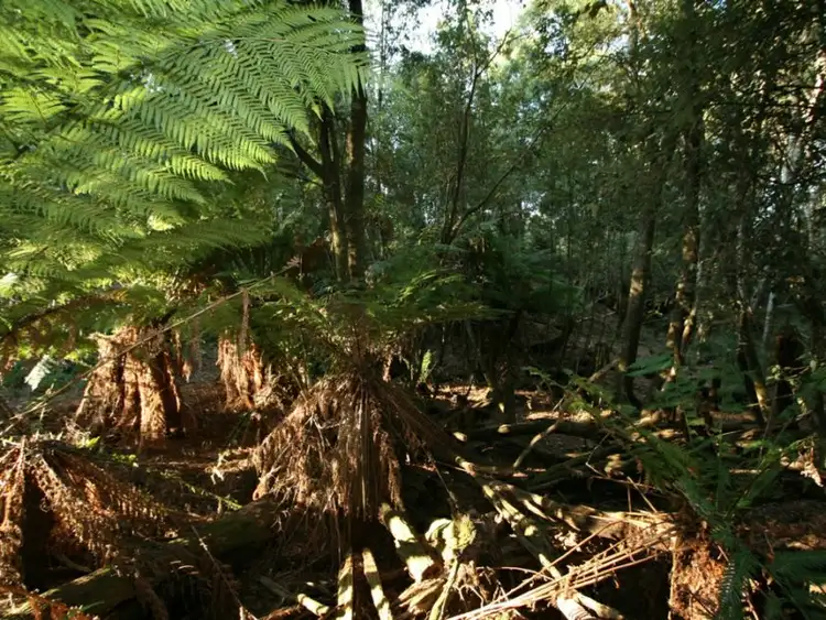 Sixth view of Homely rural property listing, 444 Hardmans Road, Mella TAS 7330