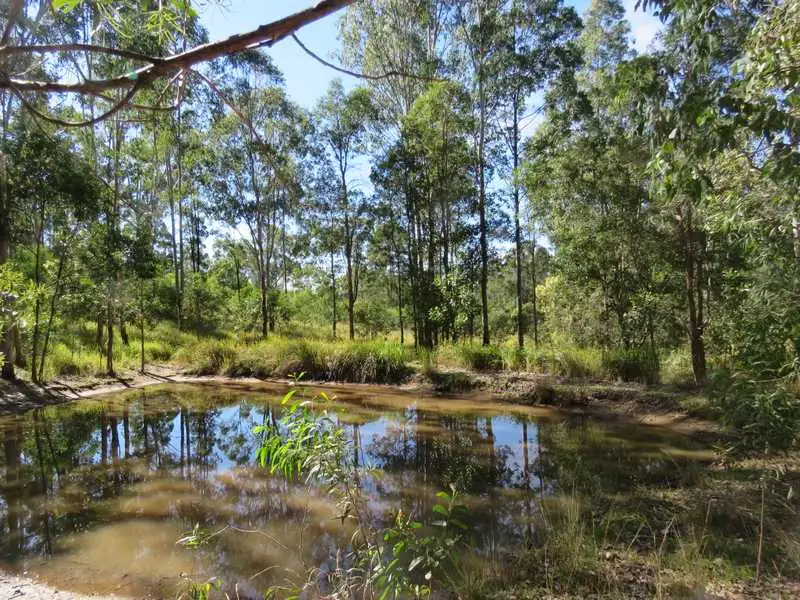 Main view of Homely rural property listing, Lot 181 Sugarbag Road, Tabulam NSW 2469