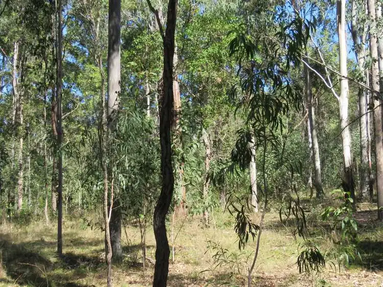 Second view of Homely rural property listing, Lot 181 Sugarbag Road, Tabulam NSW 2469