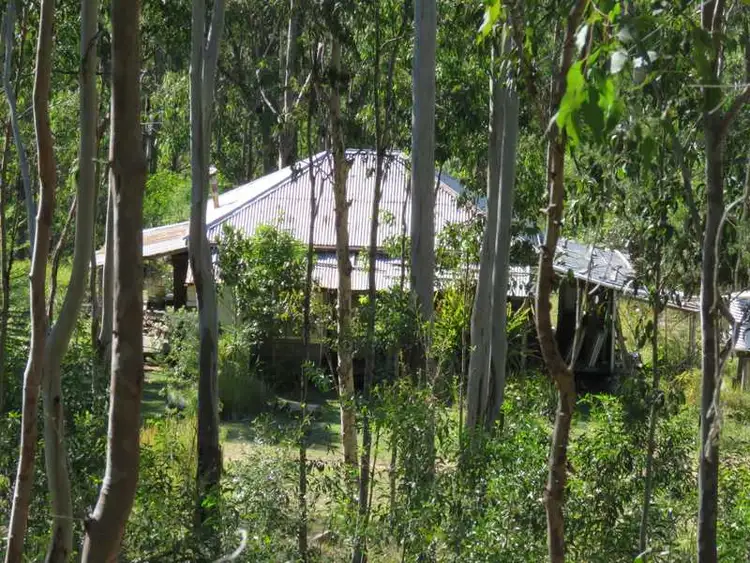 Third view of Homely rural property listing, Lot 181 Sugarbag Road, Tabulam NSW 2469