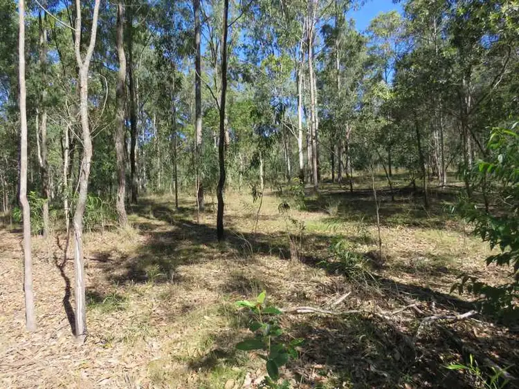 Fourth view of Homely rural property listing, Lot 181 Sugarbag Road, Tabulam NSW 2469