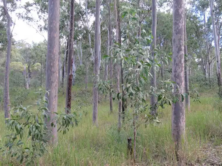 Seventh view of Homely rural property listing, Lot 181 Sugarbag Road, Tabulam NSW 2469