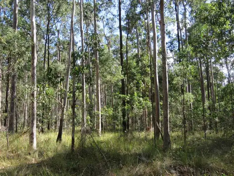 Sixth view of Homely rural property listing, Lot/30 Hanna's Road, Gibberagee NSW 2469