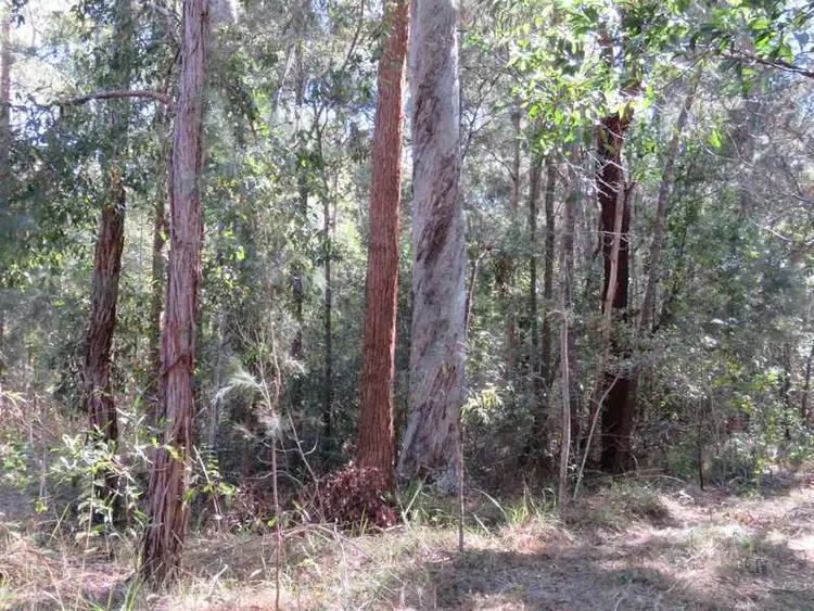 Seventh view of Homely rural property listing, Lot/30 Hanna's Road, Gibberagee NSW 2469