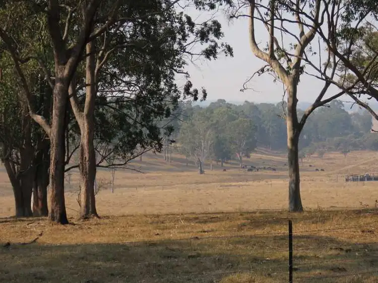 Main view of Homely rural property listing, - Mount Marsh Road, Whiporie NSW 2469