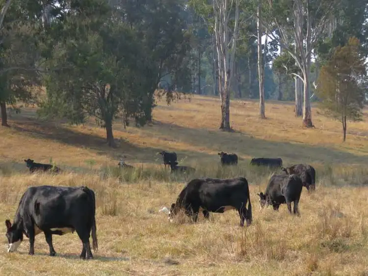Second view of Homely rural property listing, - Mount Marsh Road, Whiporie NSW 2469
