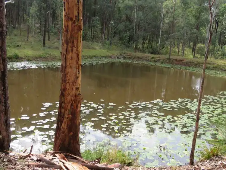Third view of Homely rural property listing, - Mount Marsh Road, Whiporie NSW 2469