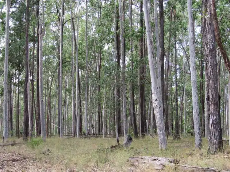 Fourth view of Homely rural property listing, - Mount Marsh Road, Whiporie NSW 2469