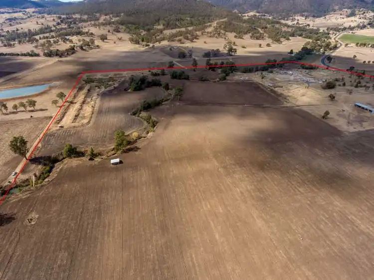 Seventh view of Homely rural property listing, 3541 Border Road, Killarney QLD 4373