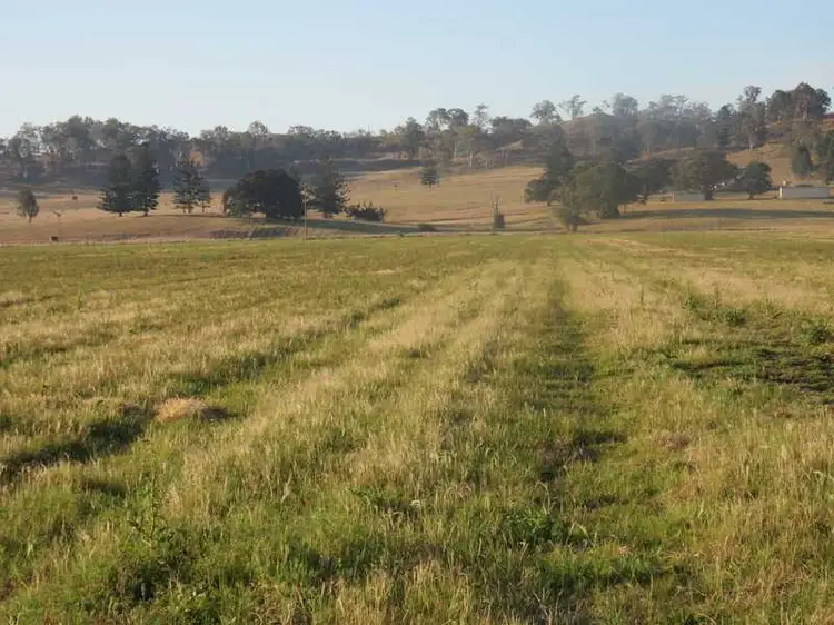 Sixth view of Homely rural property listing, 1253 Caniaba Road, Clovass NSW 2480