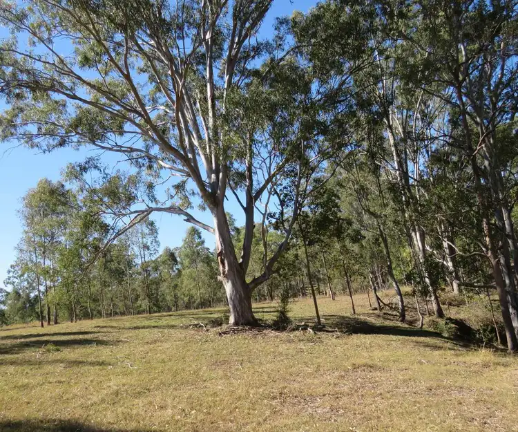 Lot 213 Bruxner Highway, Tabulam NSW 2469