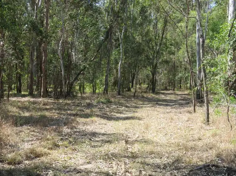 Second view of Homely rural property listing, 770 Elliots Road, Myrtle Creek NSW 2469