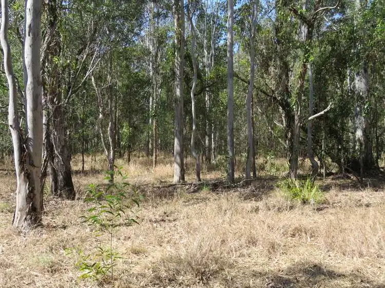 Third view of Homely rural property listing, 770 Elliots Road, Myrtle Creek NSW 2469