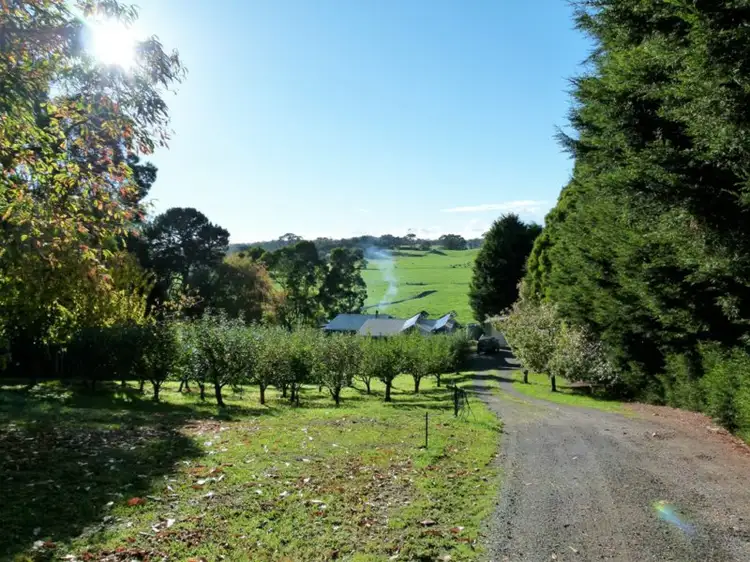 Seventh view of Homely rural property listing, 449 Irishtown Road, Irishtown TAS 7330