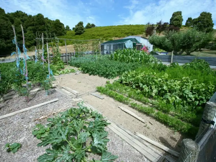 Third view of Homely house listing, 1415 Trowutta Road, Edith Creek TAS 7330