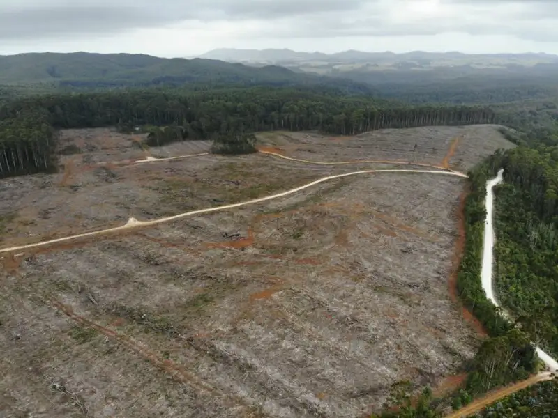 Main view of Homely land listing, 600 Newhaven Road, Mawbanna TAS 7321