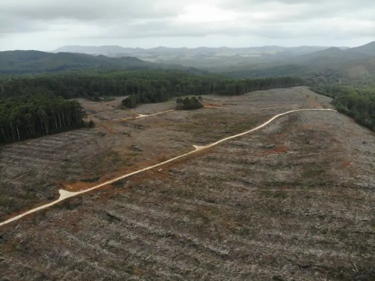 Fourth view of Homely land listing, 600 Newhaven Road, Mawbanna TAS 7321
