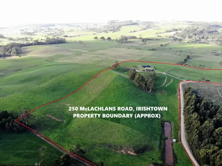 Main view of Homely house listing, 250 McLachlan's Road, Irishtown TAS 7330