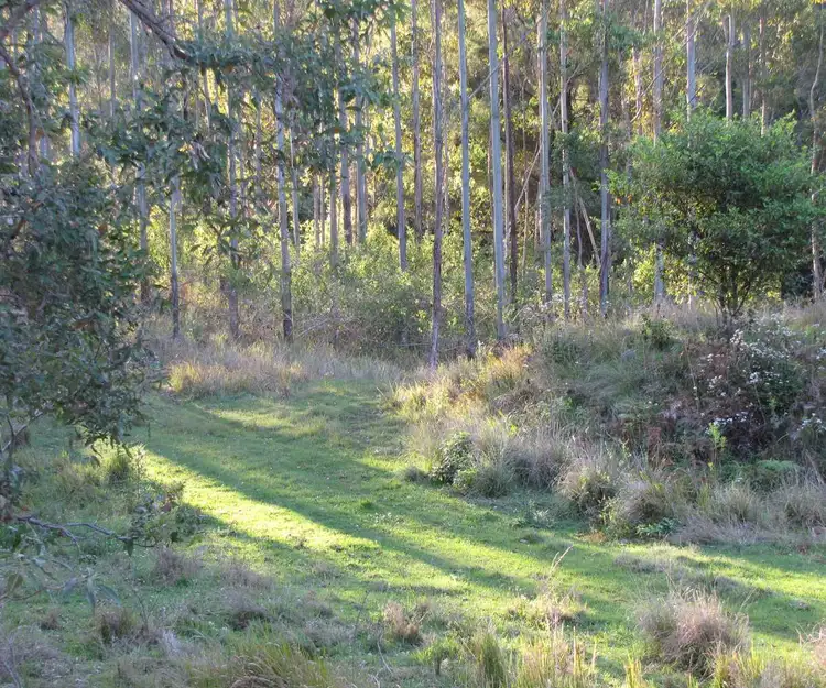 Sixth view of Homely rural property listing, - Muller Roseberry Creek Road, Roseberry Creek NSW 2474