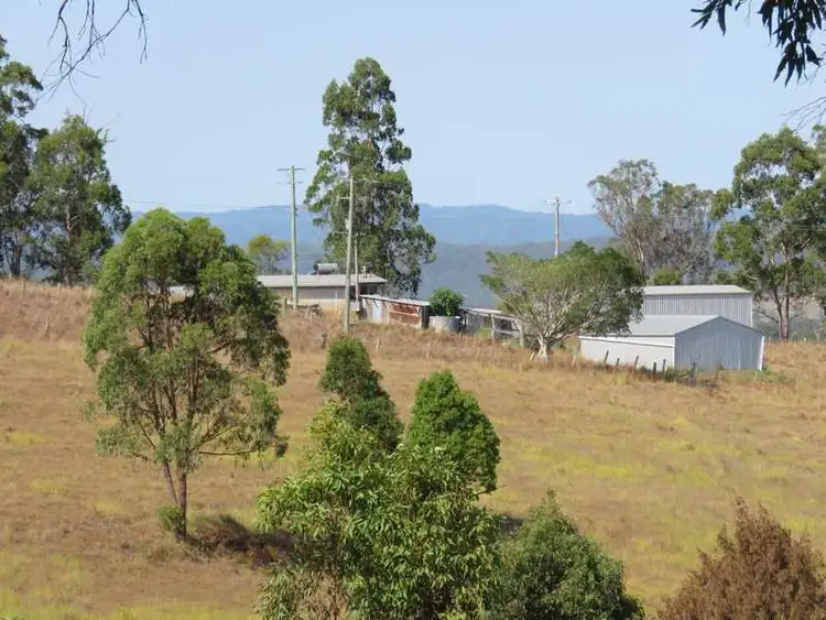 Second view of Homely rural property listing, 497 Yabbra Road, Yabbra NSW 2469