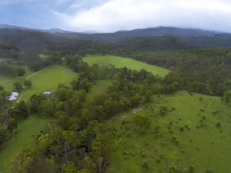 Fifth view of Homely rural property listing, 344 Flagstone Road, Legume NSW 2476